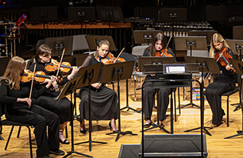 chamber-orchestra